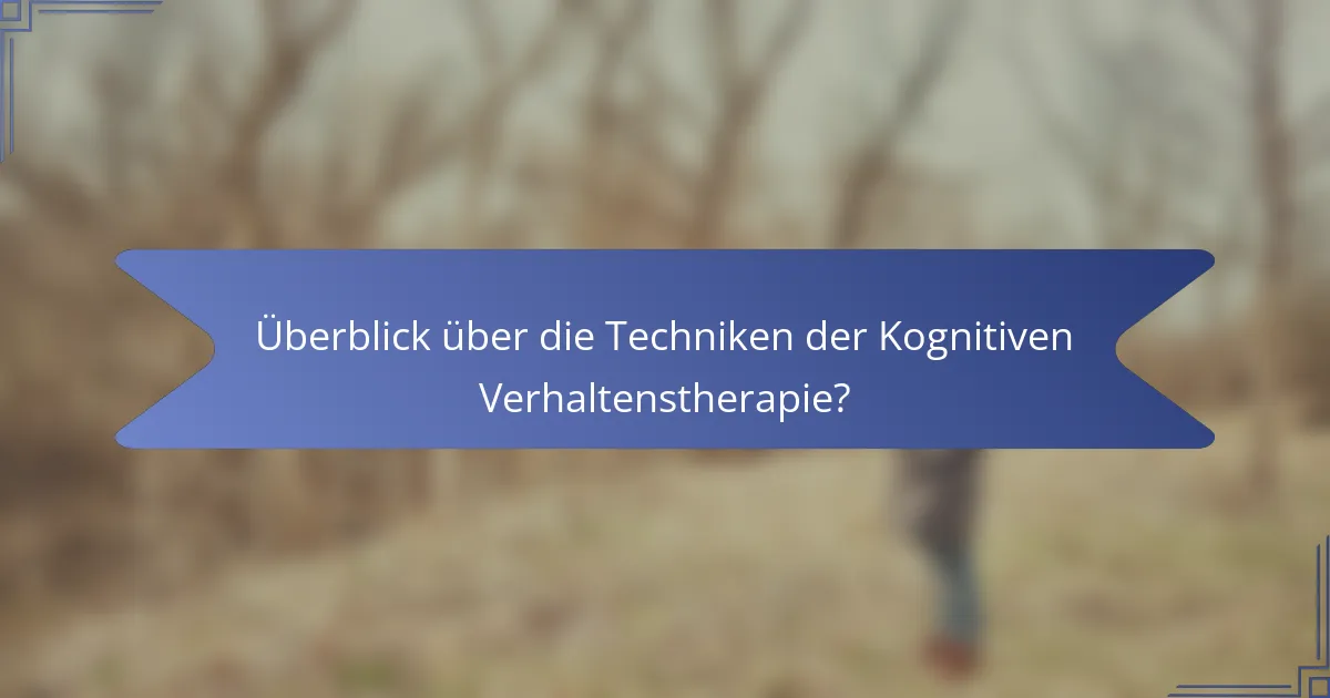 Überblick über die Techniken der Kognitiven Verhaltenstherapie?