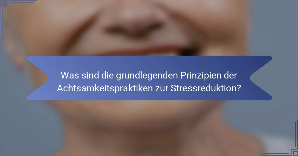 Was sind die grundlegenden Prinzipien der Achtsamkeitspraktiken zur Stressreduktion?