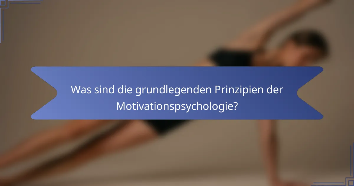 Was sind die grundlegenden Prinzipien der Motivationspsychologie?