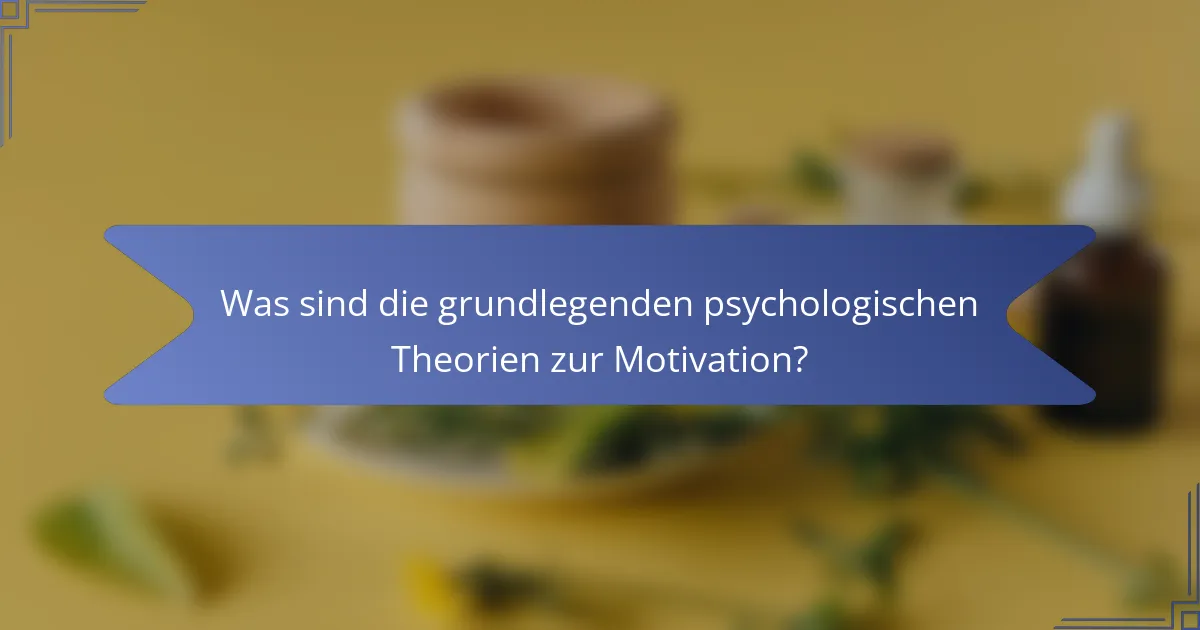 Was sind die grundlegenden psychologischen Theorien zur Motivation?