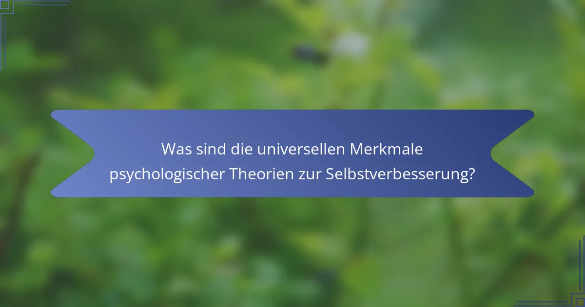 Was sind die universellen Merkmale psychologischer Theorien zur Selbstverbesserung?