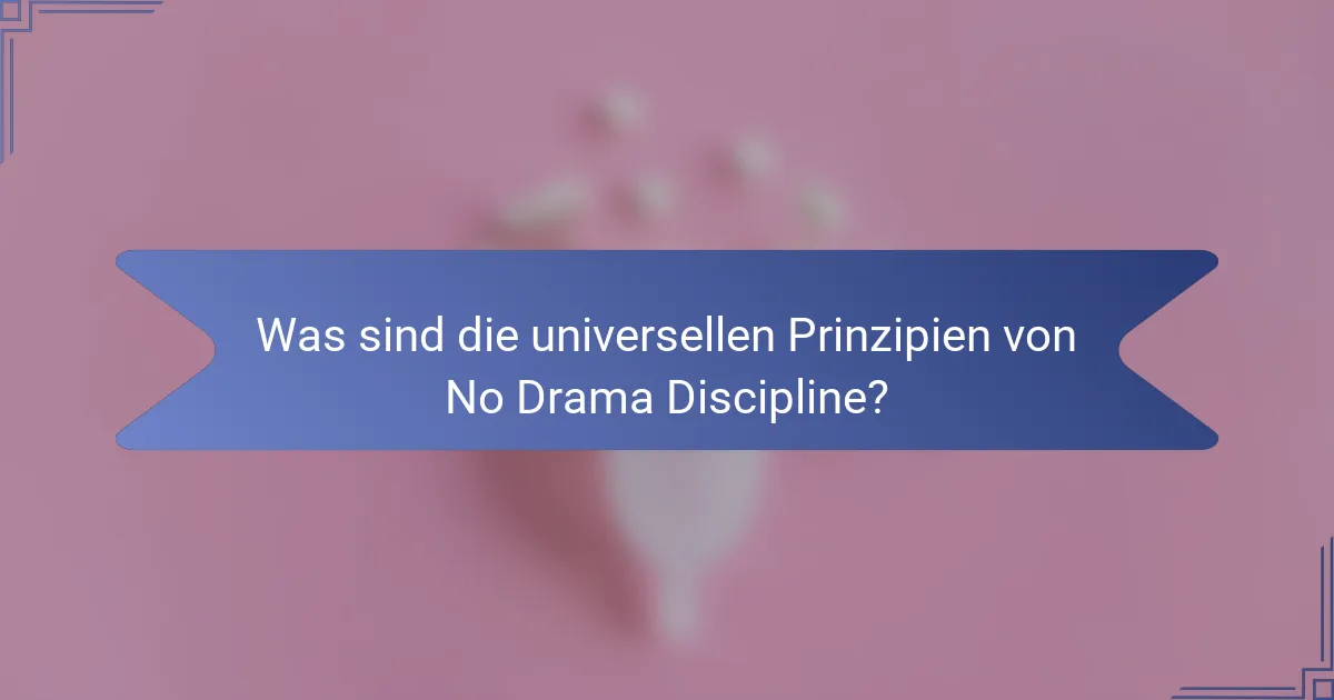 Was sind die universellen Prinzipien von No Drama Discipline?