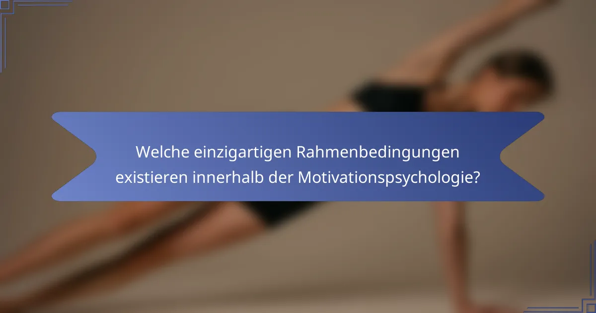 Welche einzigartigen Rahmenbedingungen existieren innerhalb der Motivationspsychologie?